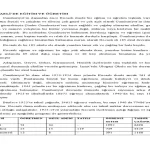 image_YB75RTZ2YRwebp